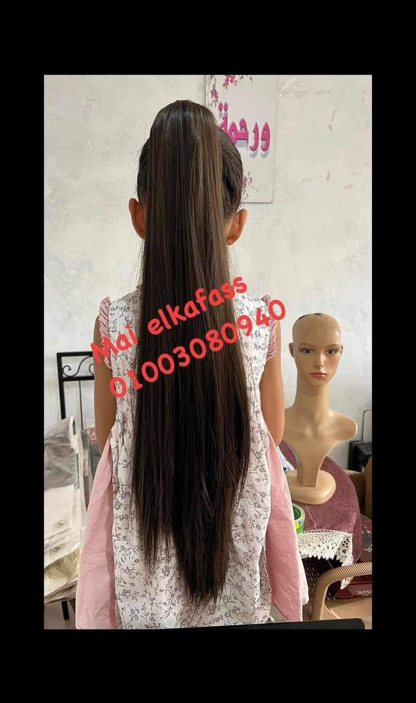 ديل حصان ليس طويل