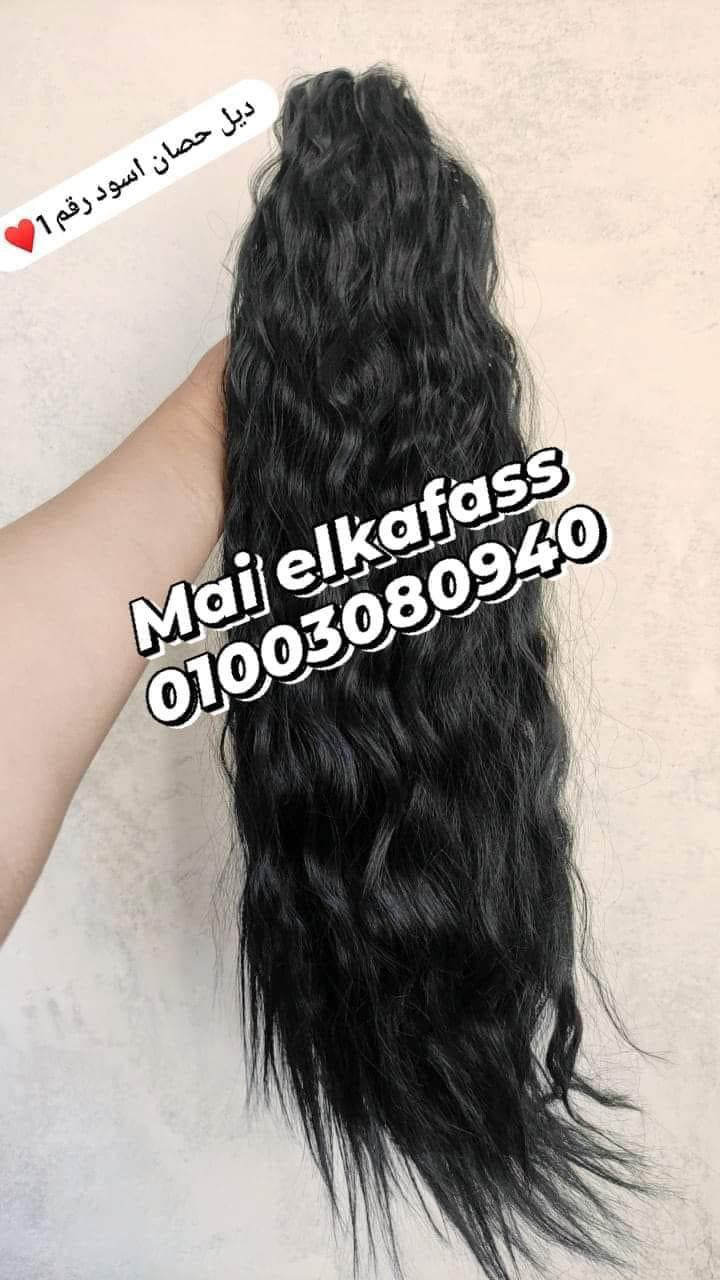 ديل حصان توكه كيرلي طويل